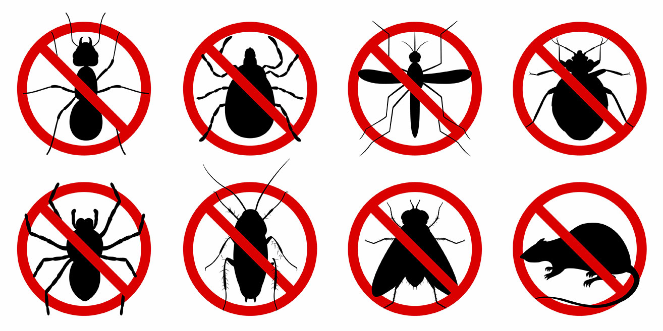 All Pests Terminated